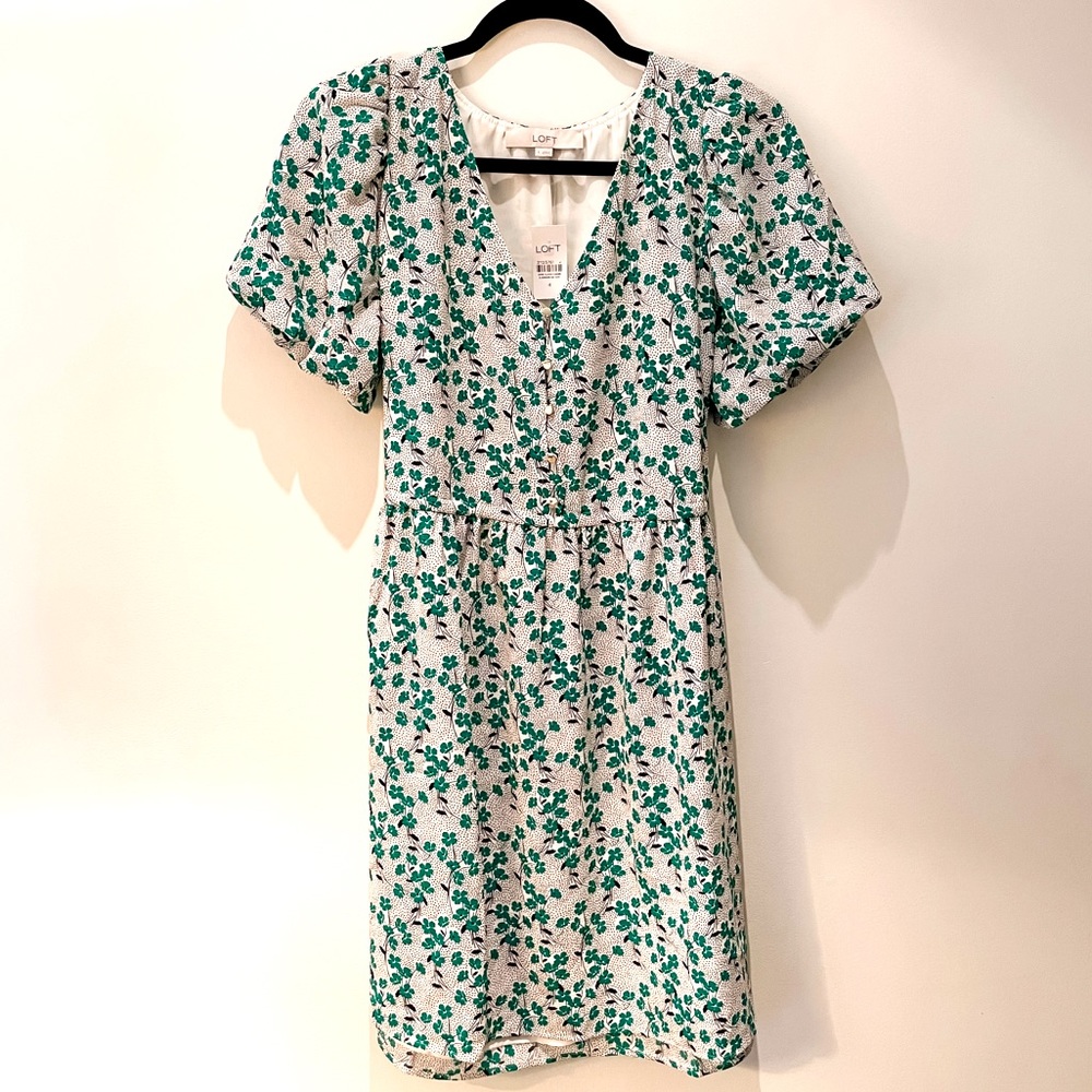 LOFT - Green and White Floral dress (NWT size 4)